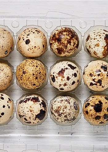 Bıldırcın Yumurtası - Taze ve Doğal - Görsel 4