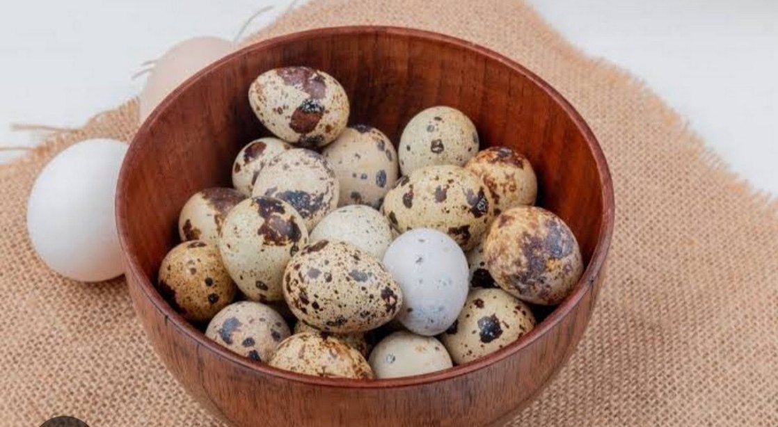 Bıldırcın Yumurtası - Taze ve Doğal - Görsel 2