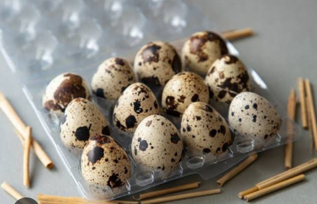 Bıldırcın Yumurtası - Taze ve Doğal - Görsel 3