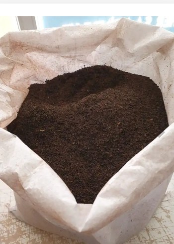 2025 MAYIS ÇAYI - Görsel 2