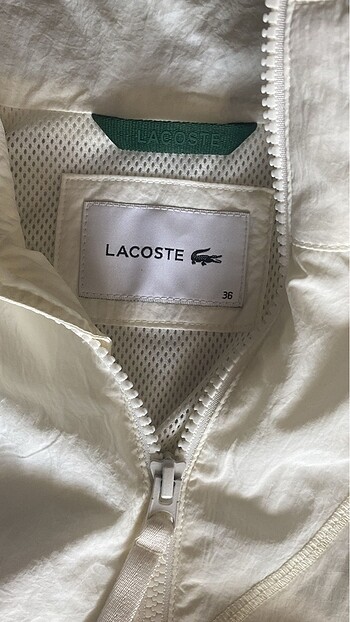 Lacoste lacoste ceket