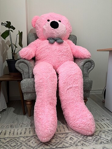 Beden Peluş ayıcık