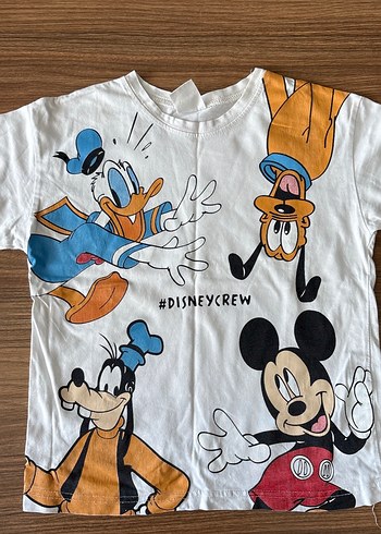 5 Yaş Beden Baskılı Disney Çocuk Erkek Takımı