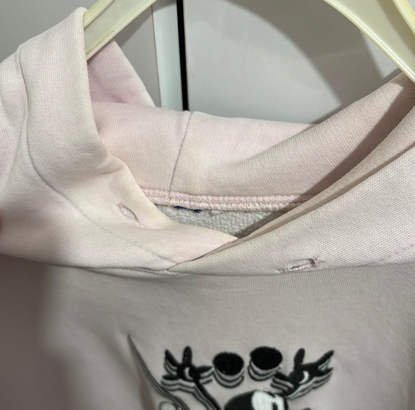 Pembe Kapüşonlu Baskılı Kadın Sweatshirt - Görsel 4