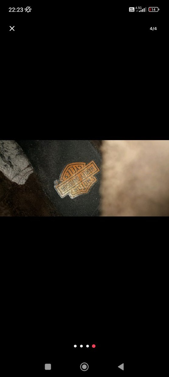 Harley Davidson bot - Görsel 4