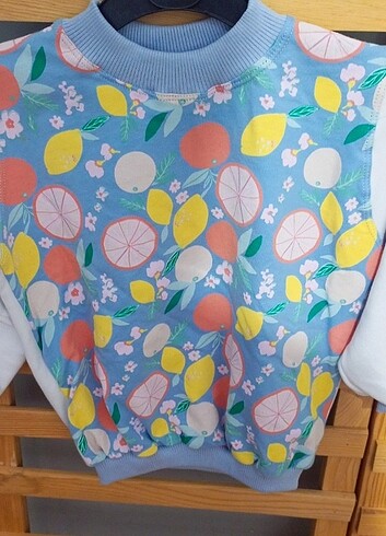 Diğer Sweatshirt
