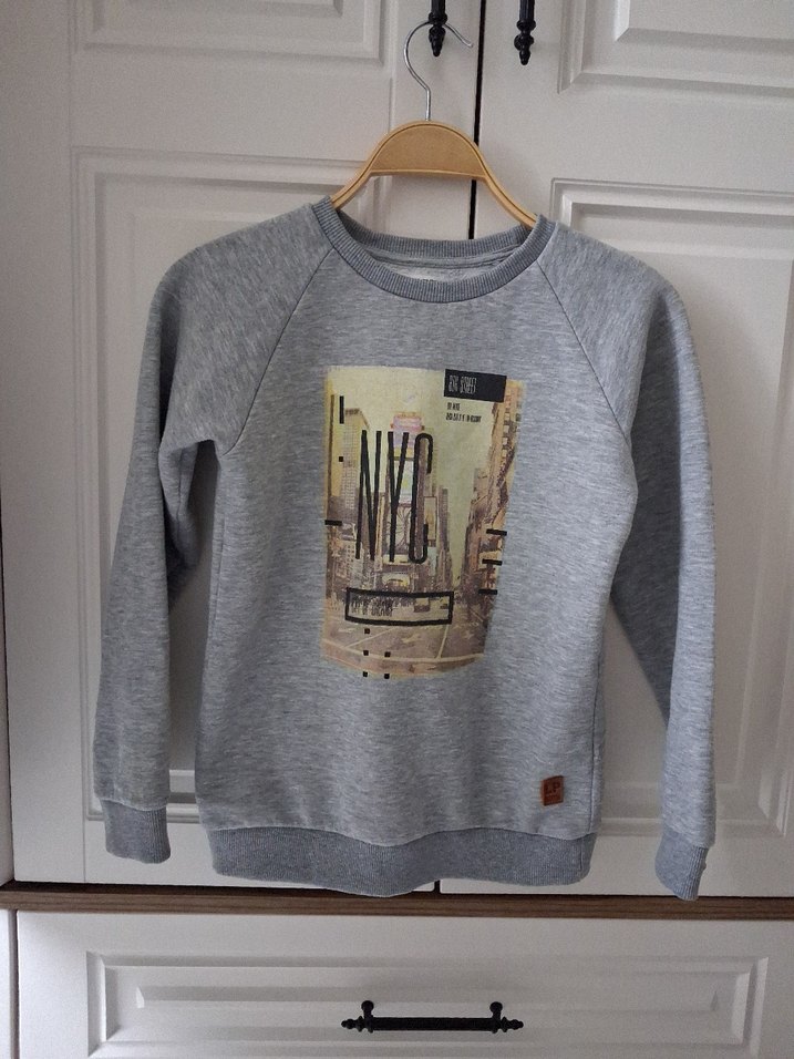 Gri Baskılı Erkek Çocuk Sweatshirt - Görsel 3