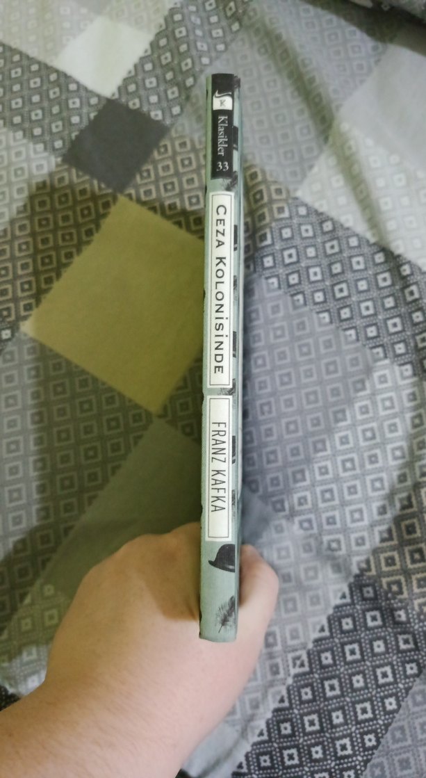 Ceza Kolonisinde - Franz Kafka - Görsel 3