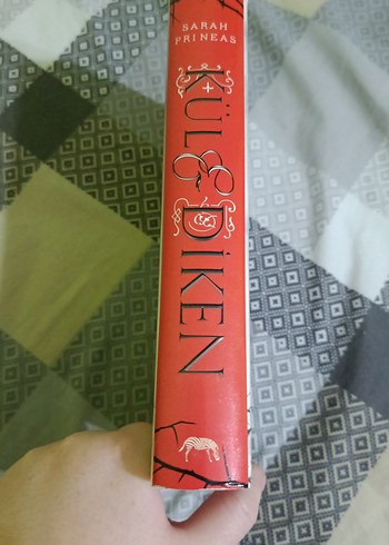 Kül ve Diken - Sarah Prineas - Görsel 3