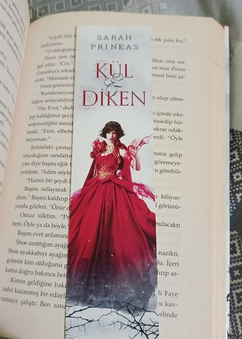 Kül ve Diken - Sarah Prineas - Görsel 4