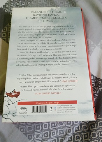 Kül ve Diken - Sarah Prineas - Görsel 2