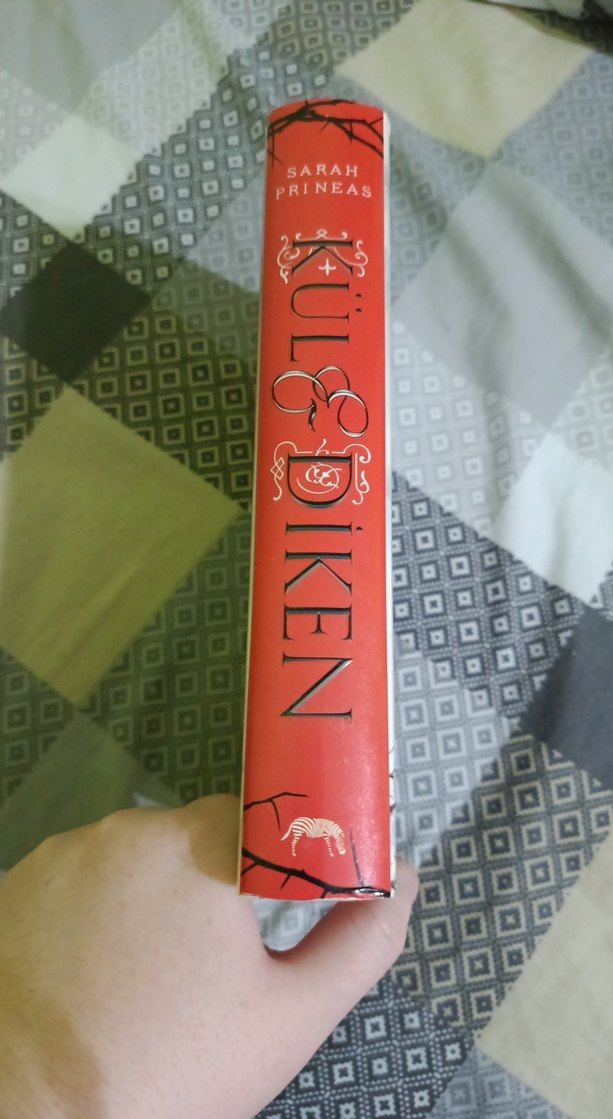 Kül ve Diken - Sarah Prineas - Görsel 3