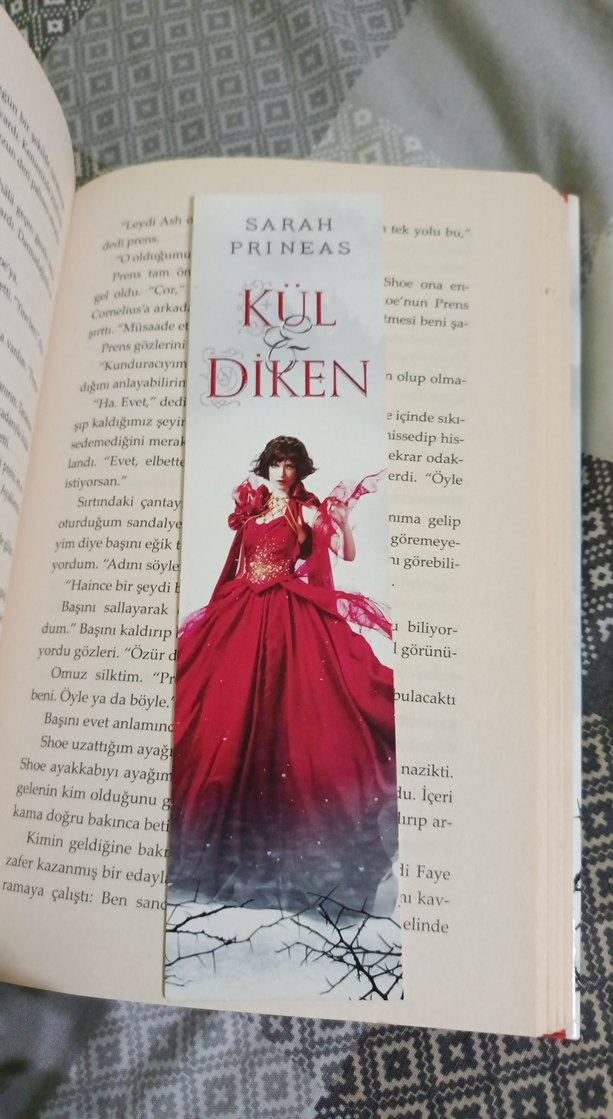 Kül ve Diken - Sarah Prineas - Görsel 4