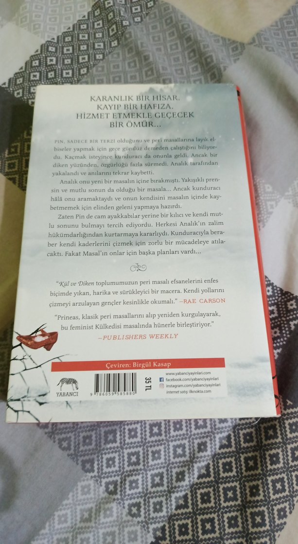 Kül ve Diken - Sarah Prineas - Görsel 2