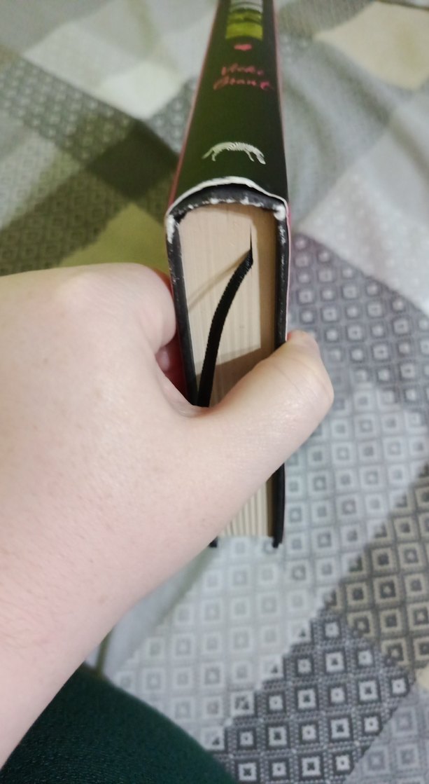 Sen, Ben ve 36 Soru - Vicki Grant - Görsel 4