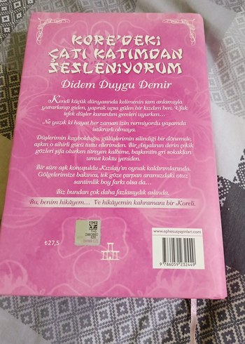 Kore'deki Çatı Katımdan Sesleniyorum - Didem Duygu Demir - Görsel 2