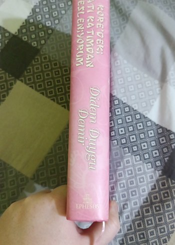 Kore'deki Çatı Katımdan Sesleniyorum - Didem Duygu Demir - Görsel 3