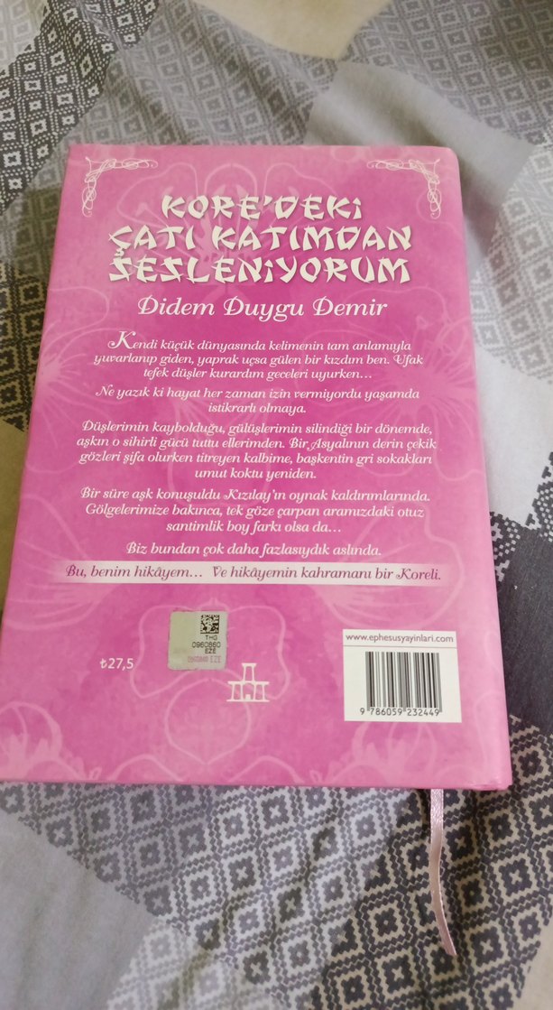 Kore'deki Çatı Katımdan Sesleniyorum - Didem Duygu Demir - Görsel 2