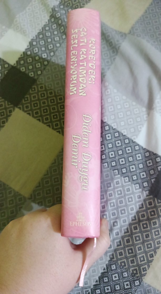 Kore'deki Çatı Katımdan Sesleniyorum - Didem Duygu Demir - Görsel 3