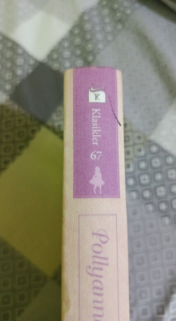 Pollyanna - Eleanor H. Porter - Görsel 4