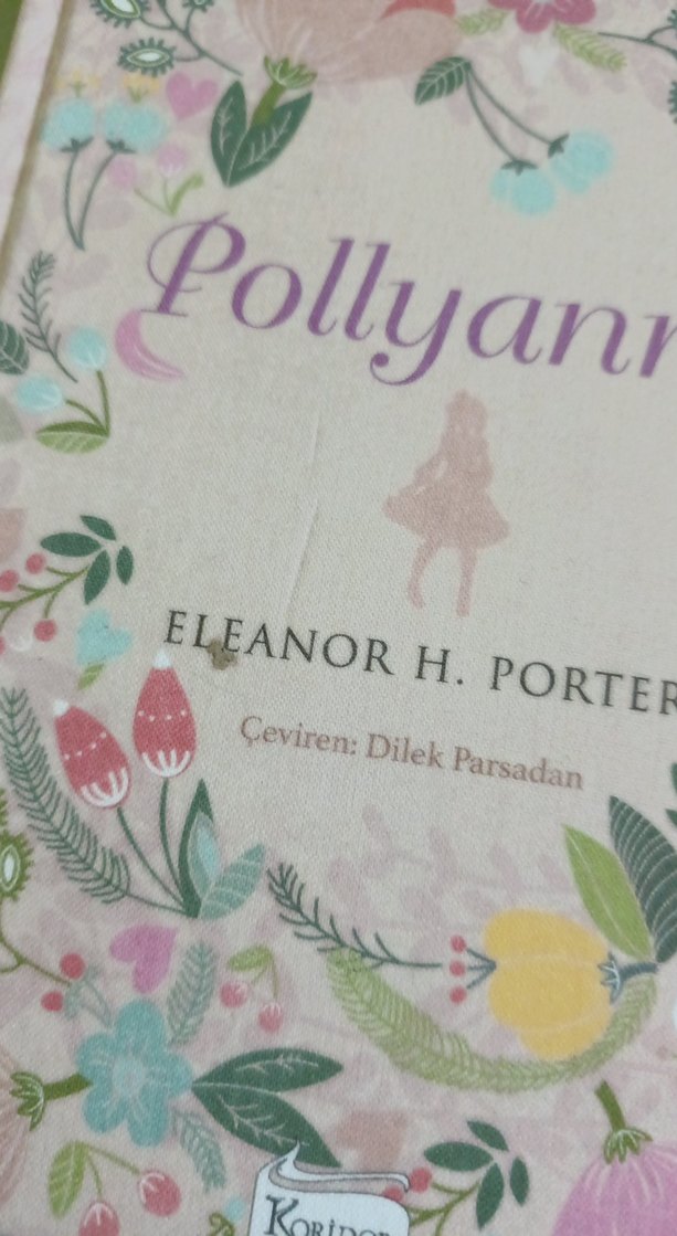 Pollyanna - Eleanor H. Porter - Görsel 5
