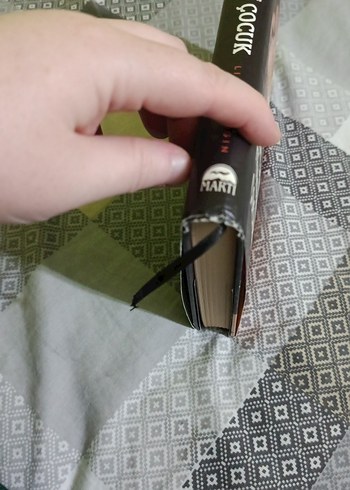 Kaplan Yürekli Çocuk - Linda Coggin - Görsel 4