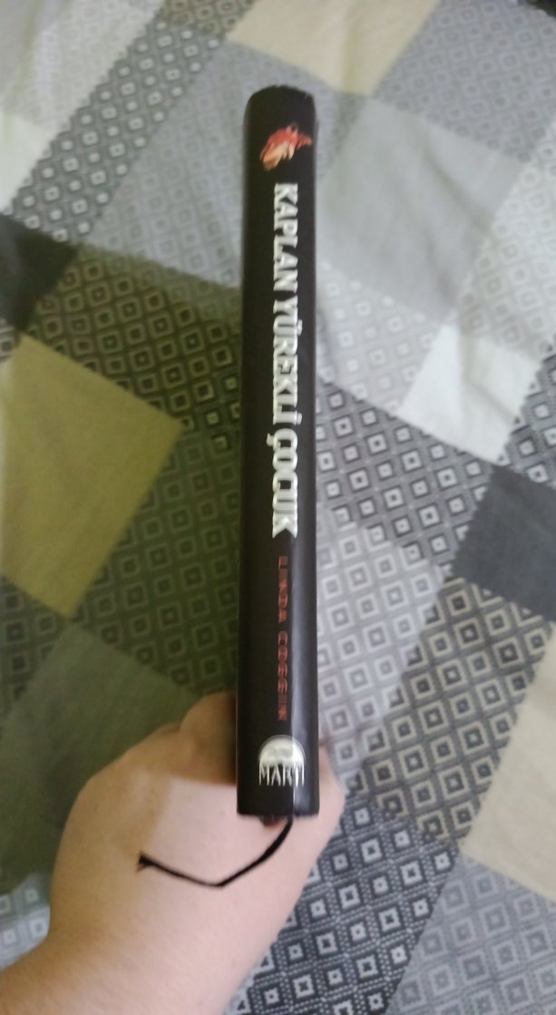 Kaplan Yürekli Çocuk - Linda Coggin - Görsel 3