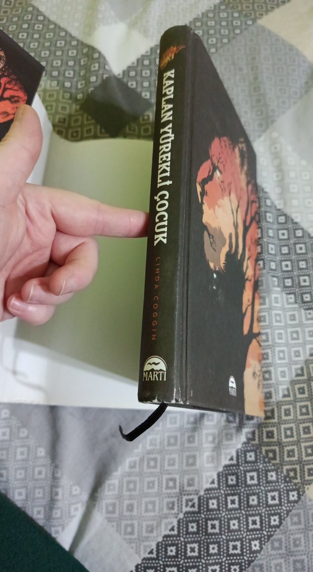 Kaplan Yürekli Çocuk - Linda Coggin - Görsel 5