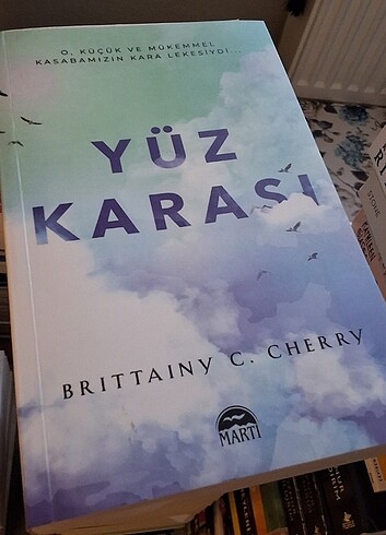 Yüz karası 