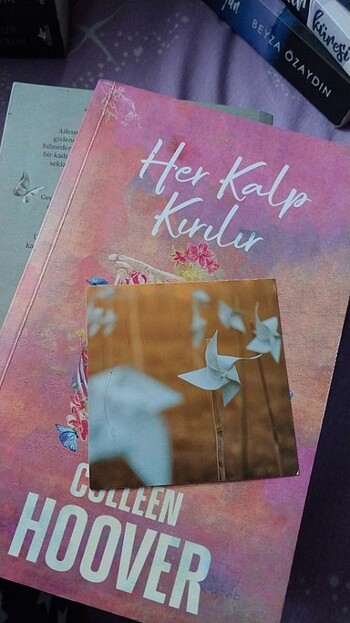 Beden Renk Her kalp kırılır