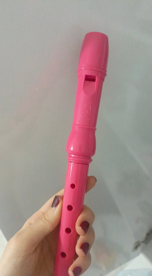 Pastel Pembe Plastik Flüt - Görsel 3