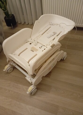 Beden Kraft dandini