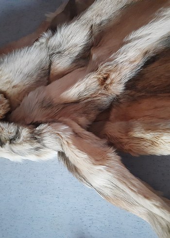 Bej Kurt Kürkü - Görsel 5