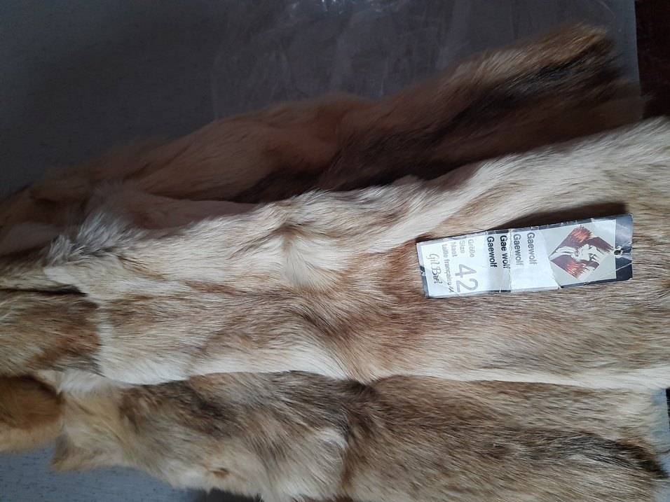 Bej Kurt Kürkü - Görsel 2