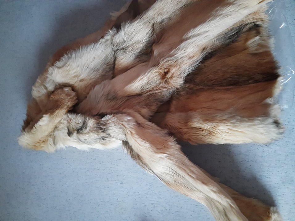 Bej Kurt Kürkü - Görsel 5