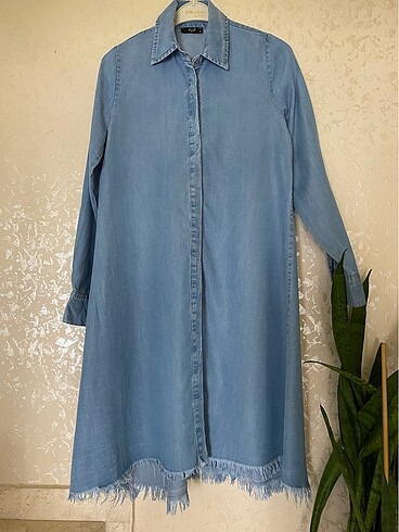 Kot Tunik