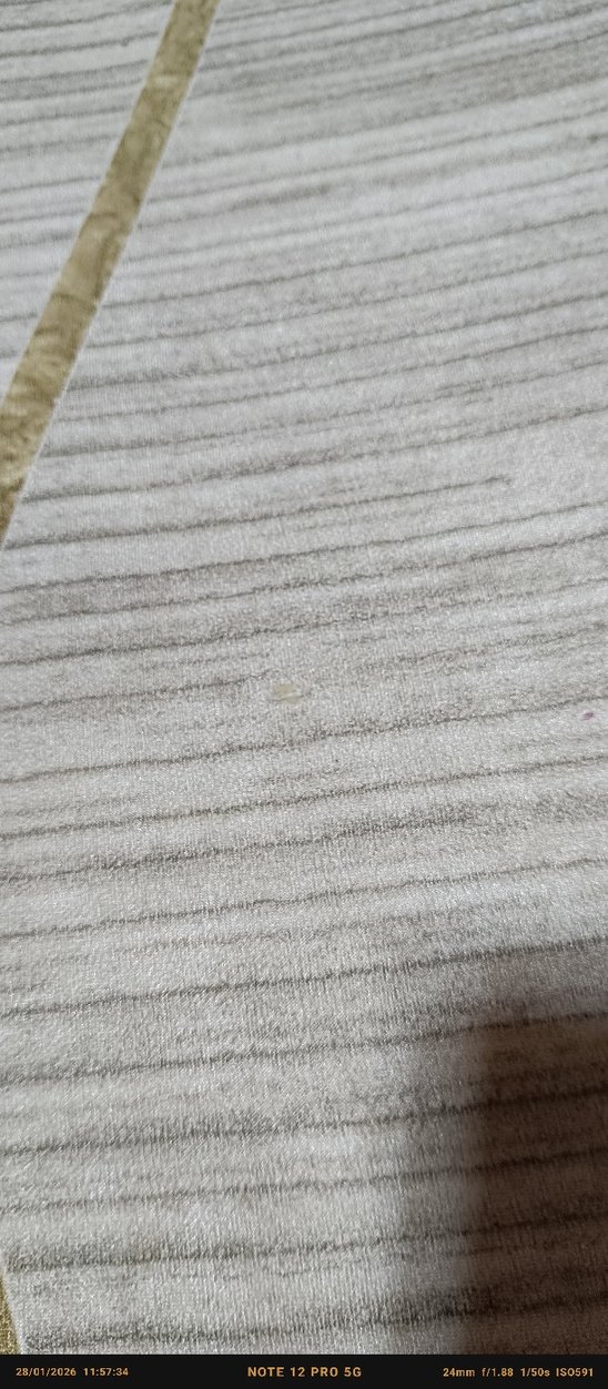 5 metrekare kadife halı örtüsü - Görsel 4