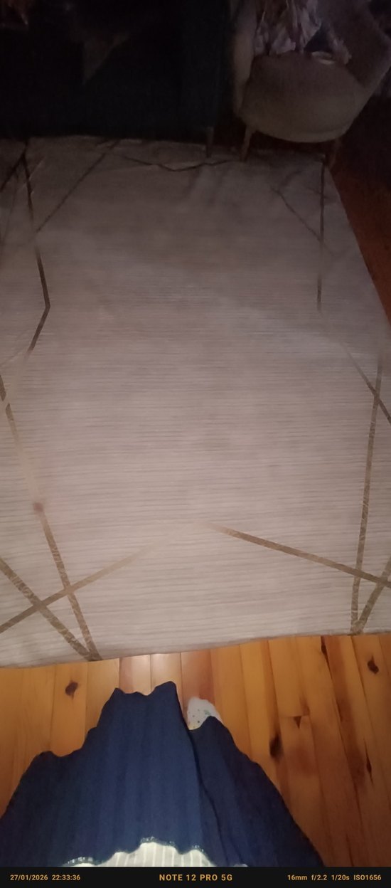 5 metrekare kadife halı örtüsü - Görsel 3