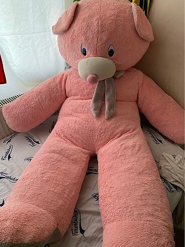 Pembe büyük boy ayı