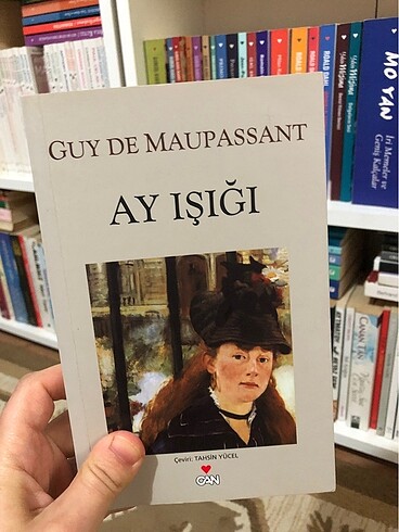 Ay ışığı