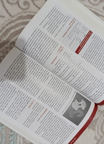 Beden Renk Elektroterapi kitap