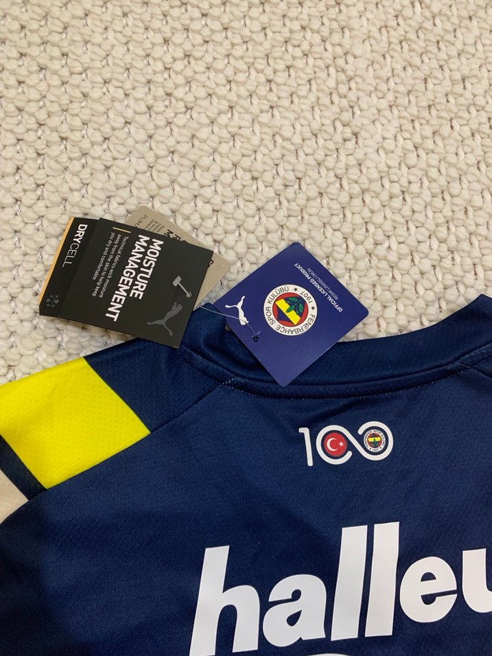 Fenerbahçe 100. Yıl forması - Görsel 3