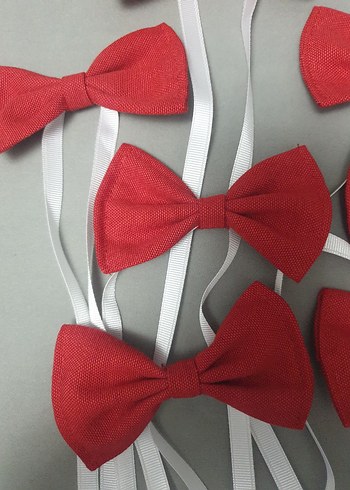 Kırmızı Çocuk Fiyonklu Papyon - Görsel 2