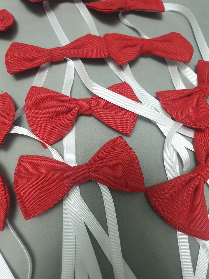 Kırmızı Çocuk Fiyonklu Papyon - Görsel 3