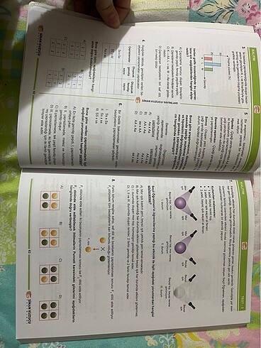 8. Sınıf Fen bilimleri soru bankası - Görsel 5