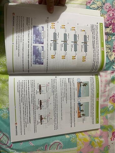8. Sınıf Fen bilimleri soru bankası - Görsel 3