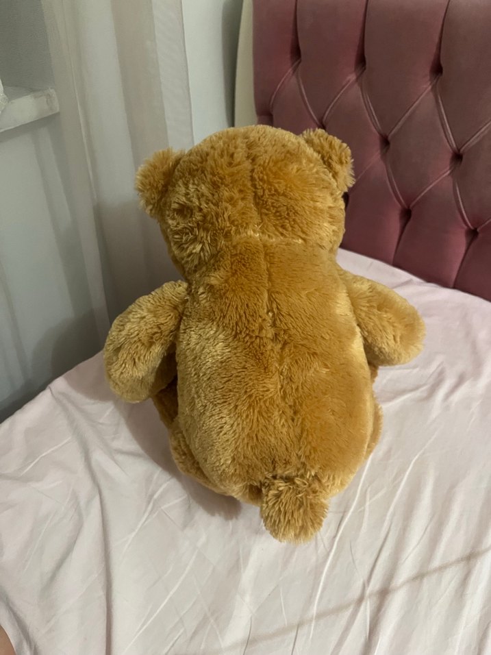 Peluş oyuncak ayı - Görsel 2