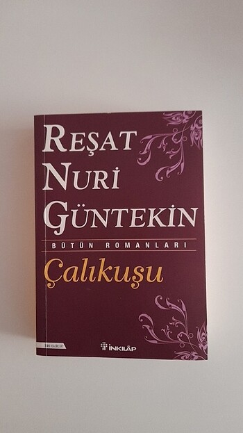 Neşat Nuri Gültekin,Çalıkuşu 