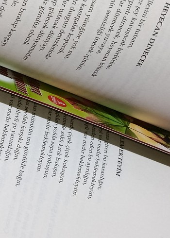 Sevgililere Armağan Şiir Kitapları ve Ayraç - Görsel 3