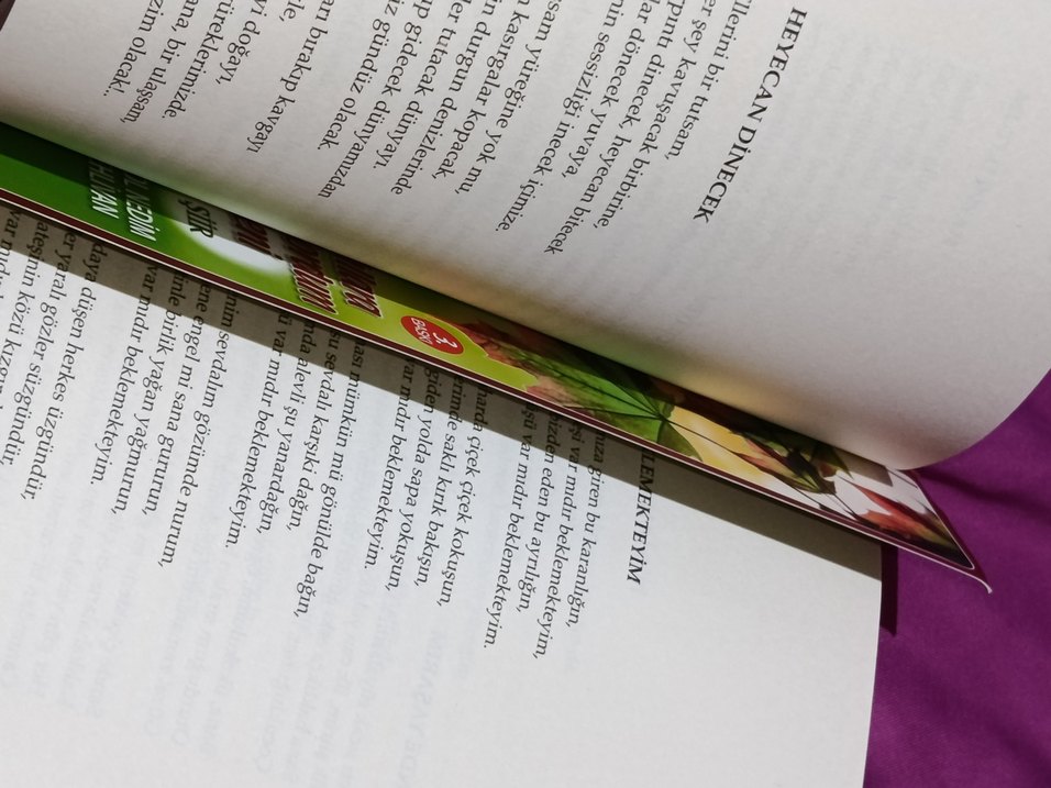 Sevgililere Armağan Şiir Kitapları ve Ayraç - Görsel 3